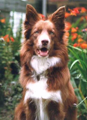 flyoct10.jpg (180075 bytes)