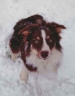 10.01.06 Harry.jpg (12786 bytes)