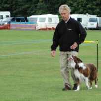 Dsc_0004.jpg (5446 bytes)