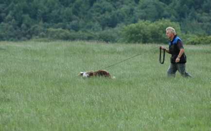 Dsc_0009.jpg (11477 bytes)