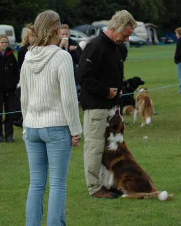 Dsc_0009.jpg (16241 bytes)