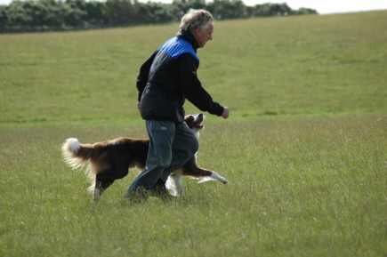 Dsc_0039.jpg (11700 bytes)