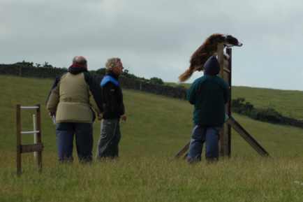 Dsc_0047.jpg (9456 bytes)