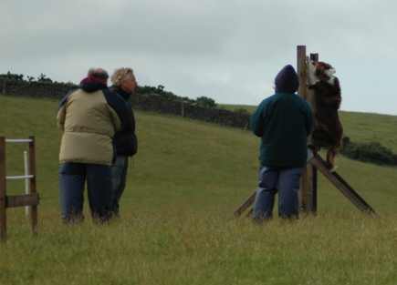 Dsc_0051.jpg (9781 bytes)