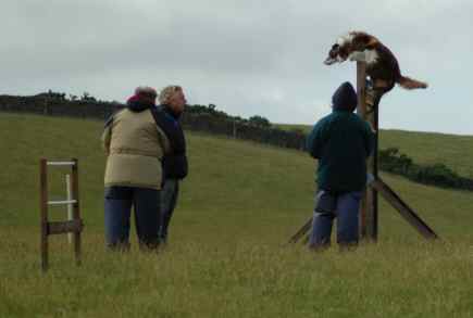 Dsc_0053.jpg (8134 bytes)