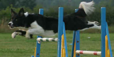 Flynntastic Flo Jumping.jpg (12152 bytes)