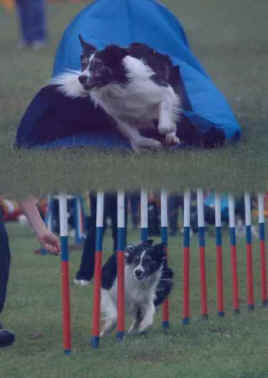 Johnathan Watt's Kyte.jpg (17148 bytes)