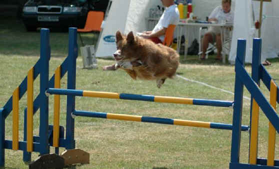 Rugby 2006 020.jpg (44365 bytes)