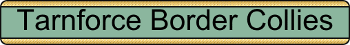 tarnforcehome.gif (6638 bytes)